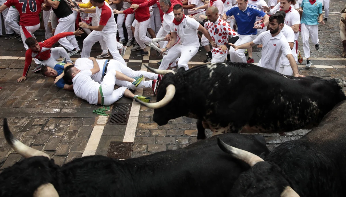 Pięć osób zostało rannych podczas pierwszej w tym roku gonitwy z bykami przez wąskie uliczki Pampeluny na północy Hiszpanii. W sobotnim biegu wzięło udział ok. 2 tys. osób i sześć byków. Na koniec gonitwy byki są zaganiane na arenę i zabijane. W czwartek w Pampelunie protestowali obrońcy praw zwierząt.