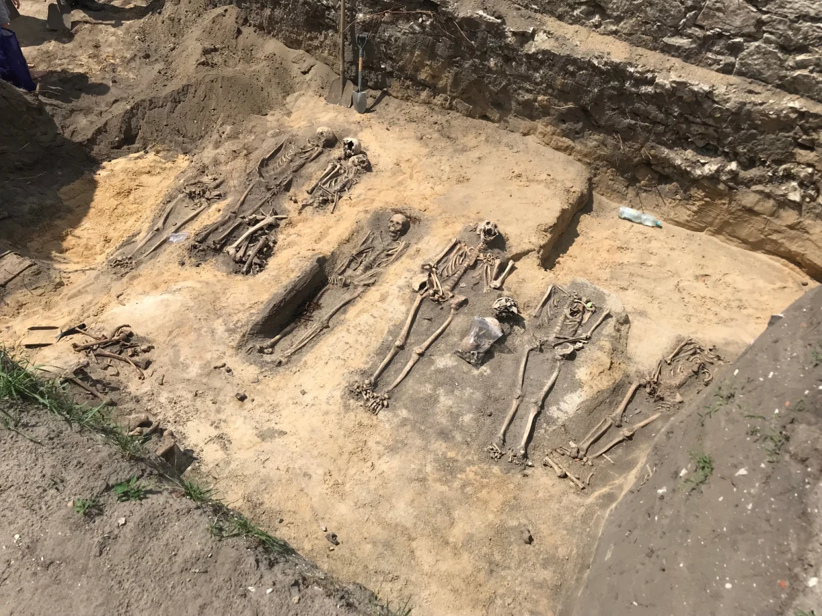 Zapowiadała się archeologiczna sensacja, ale jej nie ma. Dziewczynka pochowana przy kościele w Świeciechowie Poduchownym na Lubelszczyźnie to nie Urszulka - znana z "Trenów”  Jana Kochanowskiego córka pisarza. Krążyły legendy, że rodzina matki Urszulki była związania z tymi terenami.