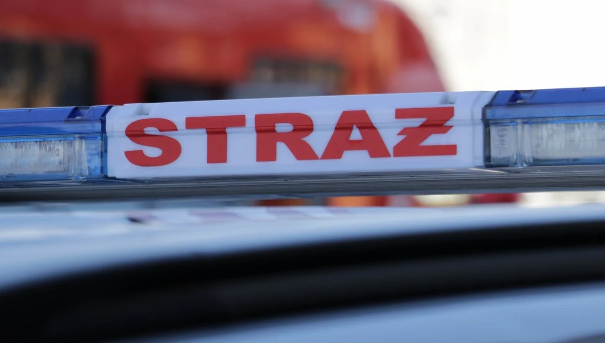 ​10 tysięcy złotych nagrody za pomoc w ujęciu podpalacza lasów wyznaczyło nadleśnictwo Węgliniec koło Zgorzelca na Dolnym Śląsku. Decyzję podjęto po ostatnim pożarze, który zniszczył blisko pięć hektarów lasu.