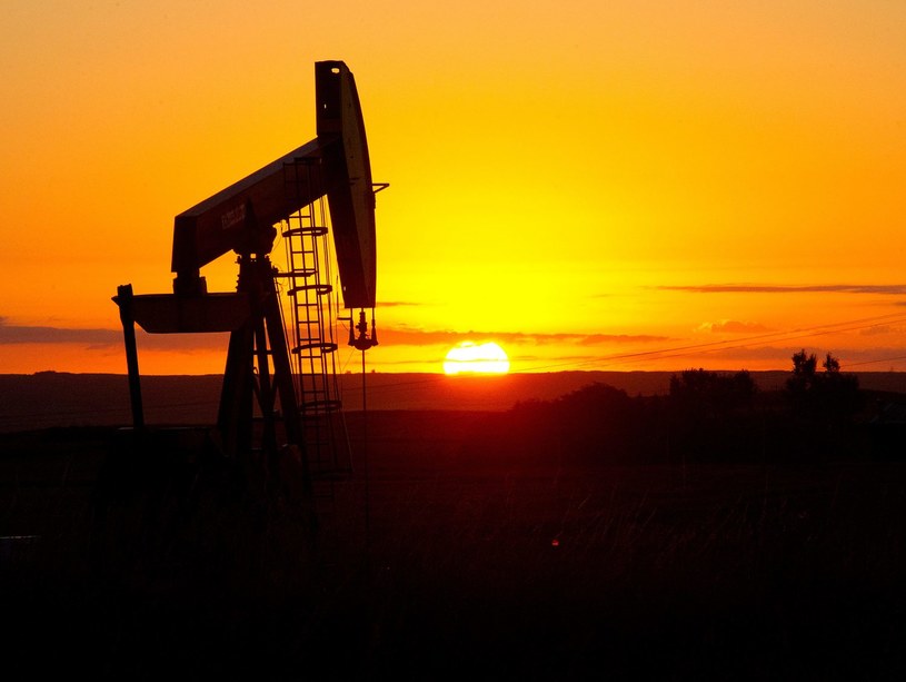 Ropa naftowa - najważniejsze informacje