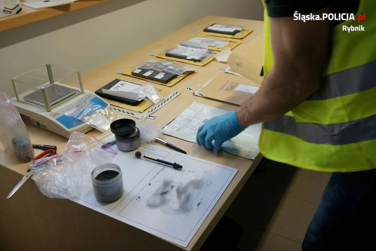 Ponad 2,5 mln zł zarobili na sprzedaży dopalaczy sprowadzanych z Chin trzej handlarze ze Śląska - twierdzą rybniccy policjanci. Przez ponad rok rozpracowywali trzyosobową grupę. Z ustaleń śledztwa wynika, że po zażyciu dostarczonych przez nią środków zmarł młody mężczyzna ze Szczecina.