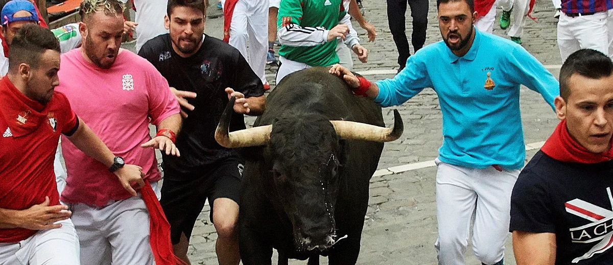 Jedna osoba została wzięta na rogi, a trzy inne zostały poturbowane w siódmej gonitwie z bykami w Pampelunie, na północy Hiszpanii, odbywającej się w ramach fiesty ku czci świętego Fermina - poinformowały miejscowe służby medyczne. Od 1910 roku w biegach tych zginęło co najmniej 16 osób, ostatnio w 2009 roku.
