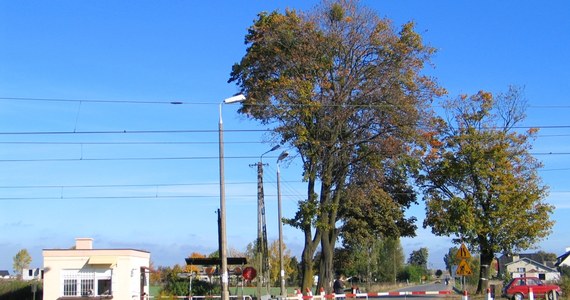 W sobotę doszło do śmiertelnego wypadku na przejeździe kolejowym w Dąbrówce Wielkopolskiej (woj. lubuskie). Przed pociąg relacji Zielona Góra – Gorzów Wlkp. wjechał kierowca samochodu osobowego; zginął na miejscu. Pasażerom i obsłudze pociągu nic się nie stało – poinformował PAP rzecznik PKP Polskich Linii Kolejowych Mirosław Siemieniec.