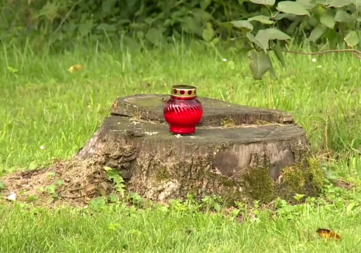 Prokuratura Rejonowa w Zawierciu wszczęła śledztwo w sprawie wypadku, do którego doszło w nocy z niedzieli na poniedziałek w miejscowości Koryczany w województwie śląskim. Chodzi przede wszystkim o ustalenie przyczyny wypadku: piesi szli prawidłowo - lewą stroną drogi, kiedy najechał na nich jadący w tym samym kierunku samochód. Zginęła 13-letnia dziewczynka, a 5 osób trafiło do szpitali.