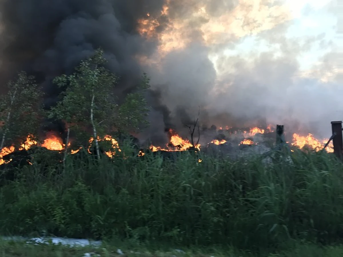 Podpalacze nielegalnego składowiska opon w małopolskiej Trzebini zostali zatrzymani przez policję - dowiedzieli się reporterzy RMF FM. Funkcjonariusze z komendy wojewódzkiej po kilku tygodniach namierzyli dwóch mężczyzn, którzy... specjalnie wzniecili ogień. Gigantyczny pożar wybuchł pod koniec maja, walczyło z nim ponad 300 strażaków. Straty sięgają setek tysięcy złotych, skażone też zostało powietrze. 