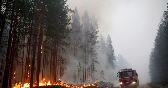 Tak gigantycznych pożarów lasów spowodowanych upałami i suszą w Szwecji nie było od lat. Płoną lasy w kilkudziesiąciu miejscach – od północy pod Kołem Podbiegunowym po wybrzeże Bałtyku na południu. Z ogniem walczą strażacy, policjanci, wojsko i setki ochotników. Wiele osób musiało opuścić swoje domy.