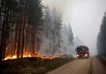 Szwecja w ogniu. Płoną lasy od Koła Podbiegunowego po Bałtyk