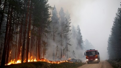 Szwecja w ogniu. Płoną lasy od Koła Podbiegunowego po Bałtyk