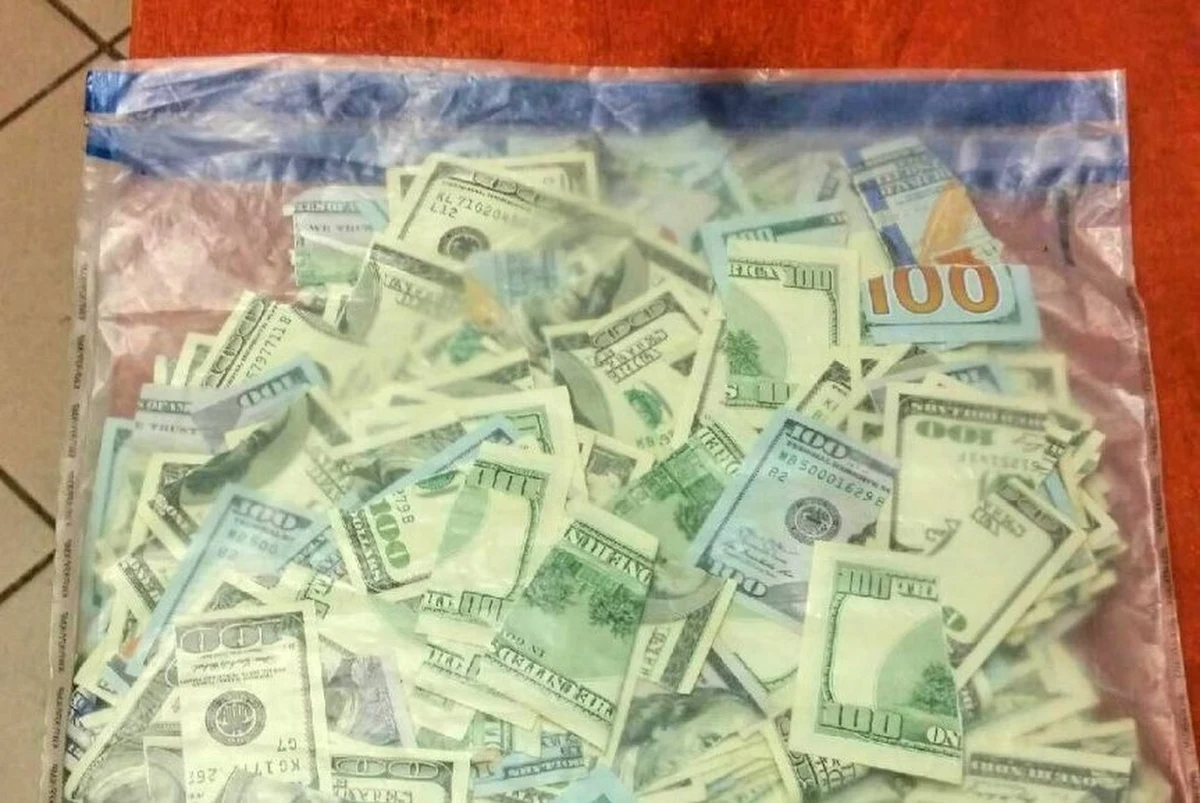 ​Cierpiąca na schorzenia podeszłego wieku 80-latka z Gliwic pocięła na ponad tysiąc kawałków i wyrzuciła do domowego śmietnika swoje dolarowe oszczędności, po czym... zgłosiła policji ich kradzież. Policjanci apelują do rodzin seniorów o wrażliwość, by starsi i chorzy ludzie nie działali na własną szkodę.