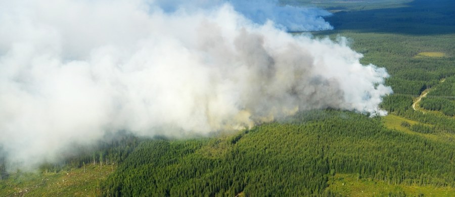 Polscy strażacy pomogą gasić pożary lasów w środkowej części Szwecji - zdecydował polski rząd. W sobotę ze Świnoujścia wyruszy grupa prawie 140 strażaków. Do Szwecji pojadą również 44 wozy ratowniczo-gaśnicze - poinformowała w piątek Kancelaria Prezesa Rady Ministrów.
