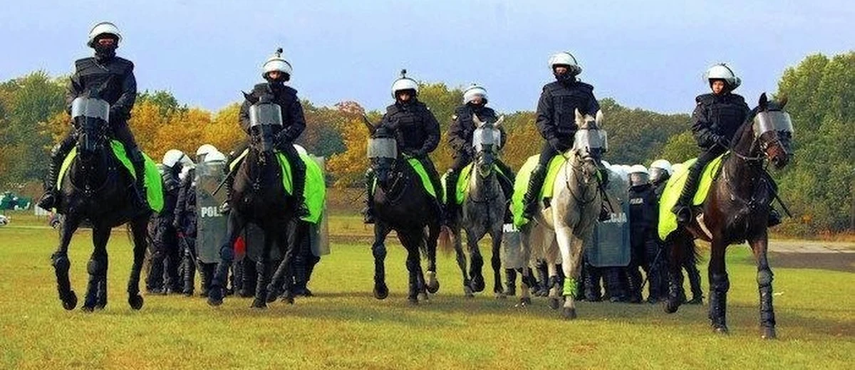 Twórcy Zakątka Weteranów rozpoczęli w sieci zbiórkę środków na utrzymanie i rozbudowę placówki. To dom dla psów i koni kończących pracę w służbach mundurowych. Działa w wielkopolskim Gierłatowie.