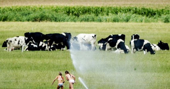 W weekend lato znów zawitało nad Wisłę i tak już zostanie. Przez cały tydzień utrzymywać się będą wysokie temperatury, ale też należy spodziewać się burz.