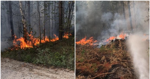 Inferno – tak jednym słowem określana jest sytuacja w Szwecji. W ciągu tego tygodnia temperatura w Szwecji będzie utrzymywać się na poziomie 30-35 stopni. To koszmarna sytuacja dla tych, którzy już od kilku tygodni walczą z pożarami lasów. "Sytuacja może dramatycznie pogorszyć się we wtorek po południu, wtedy temperatura znowu ma podskoczyć" – tak wynika z informacji przekazanych przez szwedzkie centrum ratownictwa. 