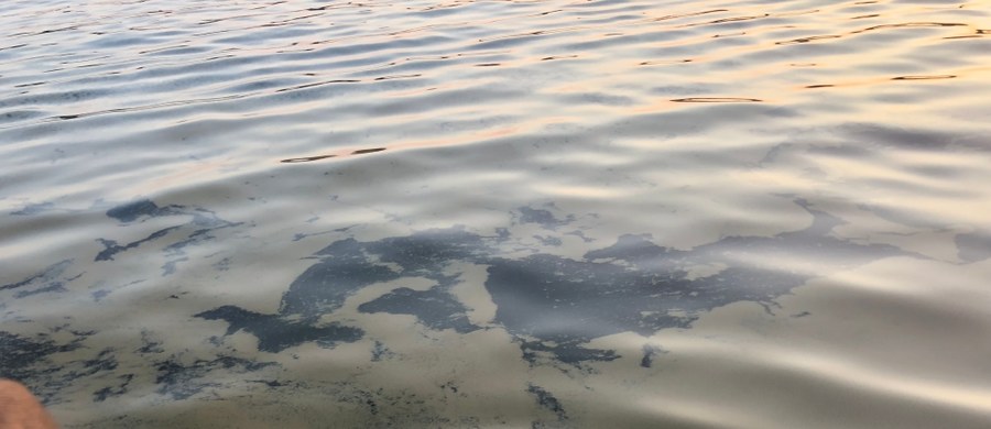 Sinice skutecznie uniemożliwiają kąpiele w Bałtyku. I choć na Wybrzeżu pogoda dopisuje - bo jest słonecznie i bardzo ciepło - to niestety warunki w morzu nie sprzyjają wypoczynkowi. Wiele popularnym kąpielisk - decyzją sanepidu - zostało zamkniętych.