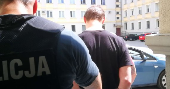 Zielonogórscy policjanci zatrzymali 23-latka, który w okrutny sposób zabił 12 jeży. Przemysław P. usłyszał zarzut uśmiercenia zwierząt ze szczególnym okrucieństwem. Grozi mu pięć lat więzienia.