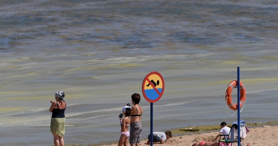 ​Sinice w natarciu. Ze względu na masowe pojawienie się tych szkodliwych dla zdrowia bakterii sanepid zamknął plaże w Zachodniopomorskiem. Czerwone flagi powiewają w Międzyzdrojach, Mrzeżynie i Dąbkach.