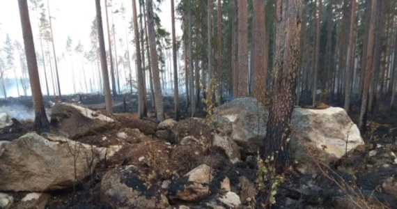 "Sytuacja jest bardzo poważna. Istnieje obawa, że pożary będą się rozszerzać" – powiedział premier Szwecji Stefan Löfven. Jego rząd prosi o wsparcie NATO w gaszeniu pożarów lasów. Lasy płoną w całym kraju. Największe pożary są w trzech prowincjach: Gävleborg, Jämtland i Dalarna. Szwecja otrzymała pomoc z Polski, Austrii, Portugalii, Włoch, Danii, Litwy, Niemiec, Francji i Norwegii. To największe wsparcie, jakiego udzieliła kiedykolwiek Unia Europejska. Teraz jednak okazuje się, że to za mało. 