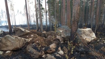 Rząd Szwecji prosi NATO o pomoc w gaszeniu pożarów lasów