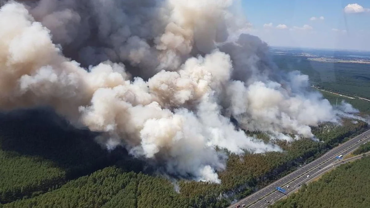 Pożary trawią lasy na terenie niemieckiej Brandenburgii. W czwartkowy wieczór - jak doniósł na swych stronach internetowych dziennik "Bild" - żywioł obejmował już 50 hektarów boru sosnowego w pobliżu Poczdamu i teren dawnego poligonu wojskowego w Jüterbog, gdzie płomienie mogły objąć nawet 105 hektarów lasów! W akcji gaśniczej uczestniczy ponad 200 zastępów straży.