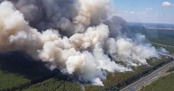 Pożary trawią lasy na terenie niemieckiej Brandenburgii. W czwartkowy wieczór - jak doniósł na swych stronach internetowych dziennik "Bild" - żywioł obejmował już 50 hektarów boru sosnowego w pobliżu Poczdamu i teren dawnego poligonu wojskowego w Jüterbog, gdzie płomienie mogły objąć nawet 105 hektarów lasów! W akcji gaśniczej uczestniczy ponad 200 zastępów straży.