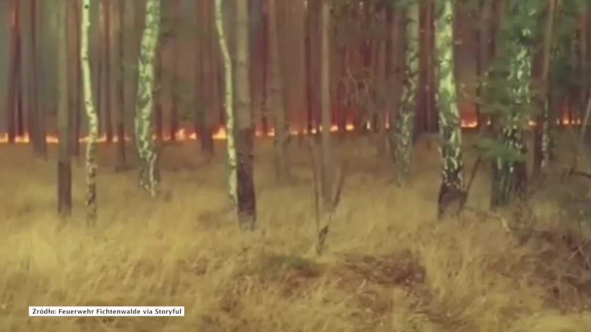 Niemieckie władze zapewniają, że ogień, który strawił ok. 50 hektarów lasu sosnowego na wschodzie kraju, jest już po kontrolą i nie zagraża okolicznym mieszkańcom. Pożar wybuchł w czwartek w pobliżu autostrady pod Poczdamem w Brandenburgii.