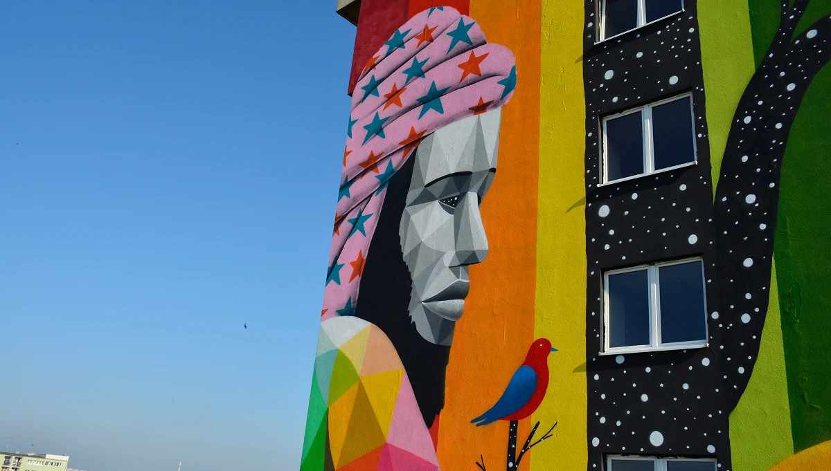 Na akademiku "Olimp" Uniwersytetu Łódzkiego, hiszpański artysta Okuda stworzył mural z okazji 20-lecia organizacji Erasmus Student Network oraz programu Erasmus w Polsce. Dzieło można podziwiać od 29 lipca na budynku przy Lumumby 12 w Łodzi.