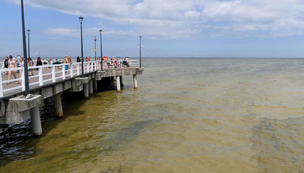 ​Sinice nad Bałtykiem nie odpuszczają. Odpuścić kąpiel muszą więc turyści. Ci, którzy marzyli o pływaniu w morzu w okolicy Trójmiasta i Władysławowa mają za sobą mało udany tydzień urlopu.