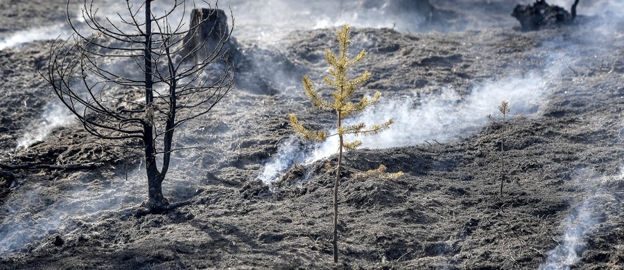 Pożar został opanowany; w chwili obecnej przechodzimy do ataku - powiedział w niedzielę dowódca polskich strażaków w Szwecji mł. brygadier Michał Langner z KG PSP. Obecnie strażacy dogaszają pojedyncze ogniska pożaru, ale oceniają, że sytuacja zostanie w ciągu dwóch dni zostanie całkowicie opanowana.