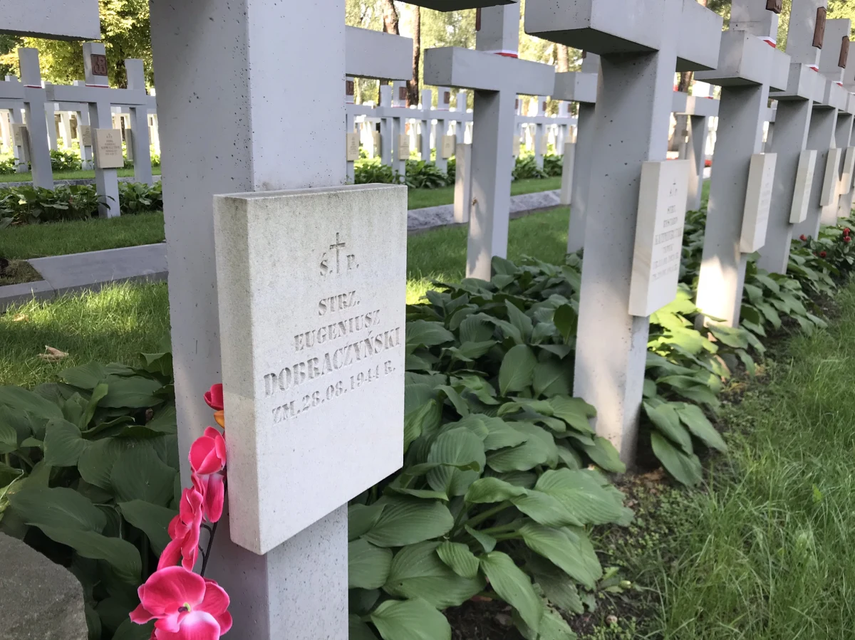 Ponad trzysta pięćdziesiąt grobów warszawskich powstańców zostało wyremontowanych w przeddzień 74. rocznicy wielkiego zrywu mieszkańców stolicy. Dzięki współpracy Muzeum Powstania Warszawskiego i wojewody mazowieckiego nowy wygląd zyskały kwatery batalionów "Gozdawa" i "Chrobry I". Zadbano także o mogiły powstańców z "Zośki" i batalionu "Gustaw Harnaś".