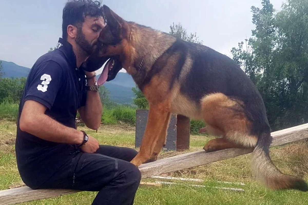 ​Obrońcy praw zwierząt we Włoszech apelują o podwyższenie kar za znęcanie się nad zwierzętami, odkąd na jaw wyszło, że otruty został owczarek niemiecki Kaos, który zasłynął udziałem w akcji ratunkowej po trzęsieniu ziemi w Amatrice w 2016 roku. O sprawie napisał brytyjski dziennik "The Guardian".