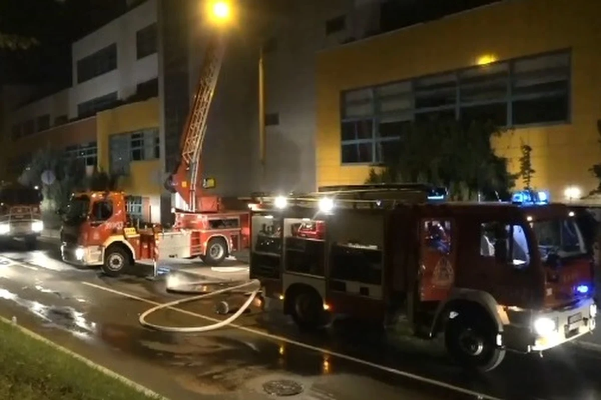 ​Kilkanaście zastępów straży pożarnej gasiło dziś w nocy pożar budynku Collegium Polonicum w Słubicach w Lubuskiem. Obiekt należy do poznańskiego Uniwersytetu im. Adama Mickiewicza.