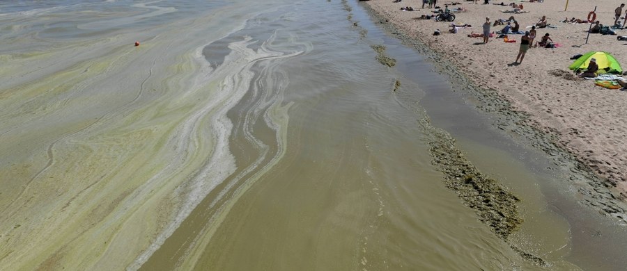 ​Wszystkie plaże w Gdyni i Sopocie oraz kilka w Gdańsku, z wyjątkiem kąpieliska przy Domu Zdrojowym w Brzeźnie, Sobieszewie, Orlu i Świbnie, są zamknięte z powodu zakwitu sinic - podała Wojewódzka Stacja Sanitarno-Epidemiologiczna (WSSE) w Gdańsku.