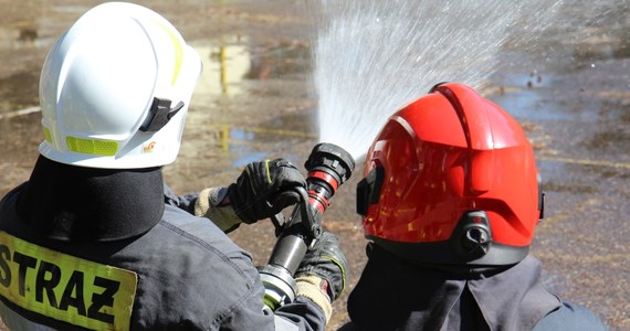 ​Wielkopolscy strażacy zabezpieczają pogorzelisko w Borkach w powiecie kolskim. W nocy paliła się tam hala, w której były maszyny i środki chemiczne służące do dezynfekcji i deratyzacji. 