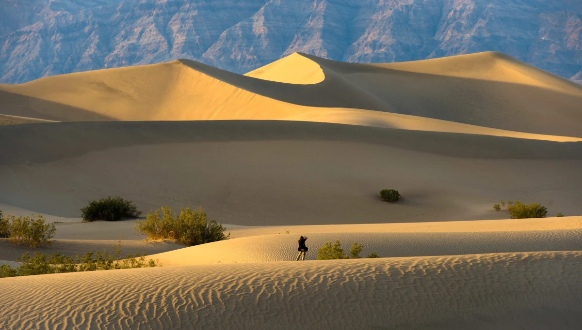 ​Rekordowe temperatury w kalifornijskiej Dolinie Śmierci. Jak wyliczają służby, średnia temperatura w lipcu wyniosła tam 42,2 stopnie Celsjusza. Tym samym Dolina Śmierci pobiła własny zeszłoroczny rekord średniej temperatury, który wynosił 41,6 stopni.