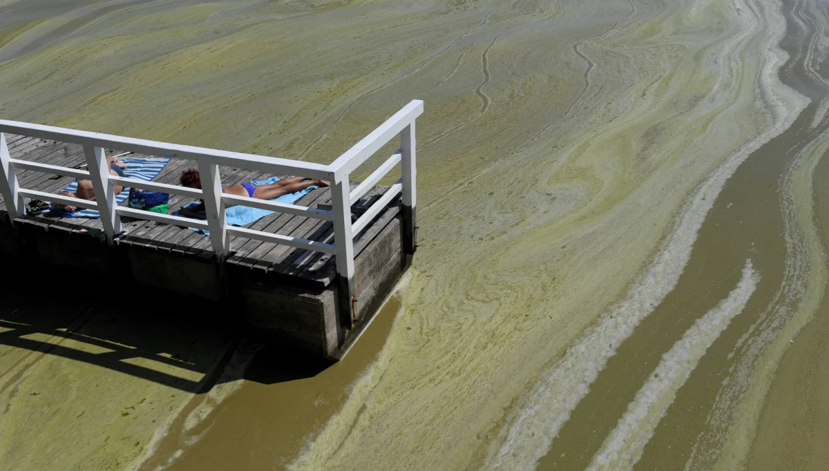 ​Wczorajsza burza, która przeszła nad częścią województwa pomorskiego poskromiła sinice. Niestety, nie wszędzie, ale sytuacja nad Zatoką Gdańską i tak jest najlepsza od wielu dni.