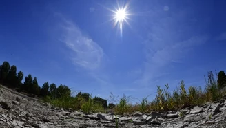 Naukowcy alarmują: Zmiana klimatu zagrożeniem dla zdrowia