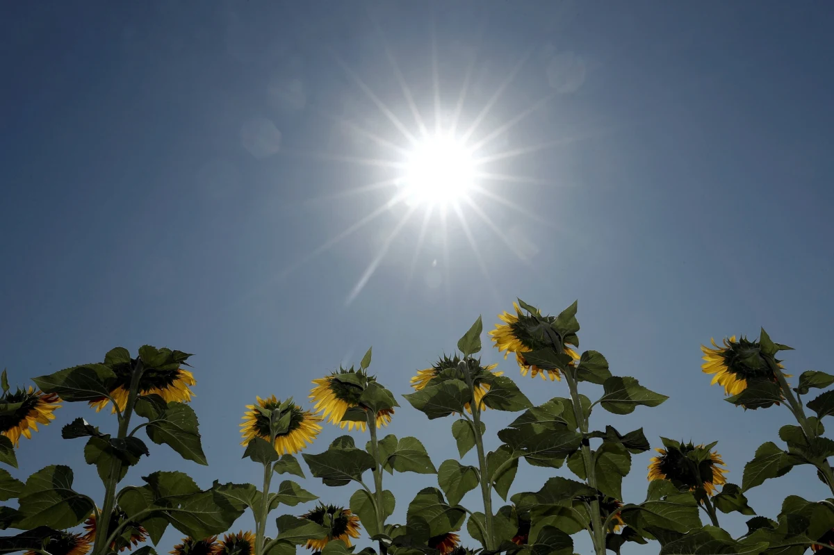 ​Znaczną część Półwyspu Iberyjskiego ogarnęła w czwartek pierwsza w tym roku fala upałów. Według prognoz, w weekend słupki rtęci mają pokazać w niektórych rejonach południowej Portugalii nawet 47 stopni Celsjusza.