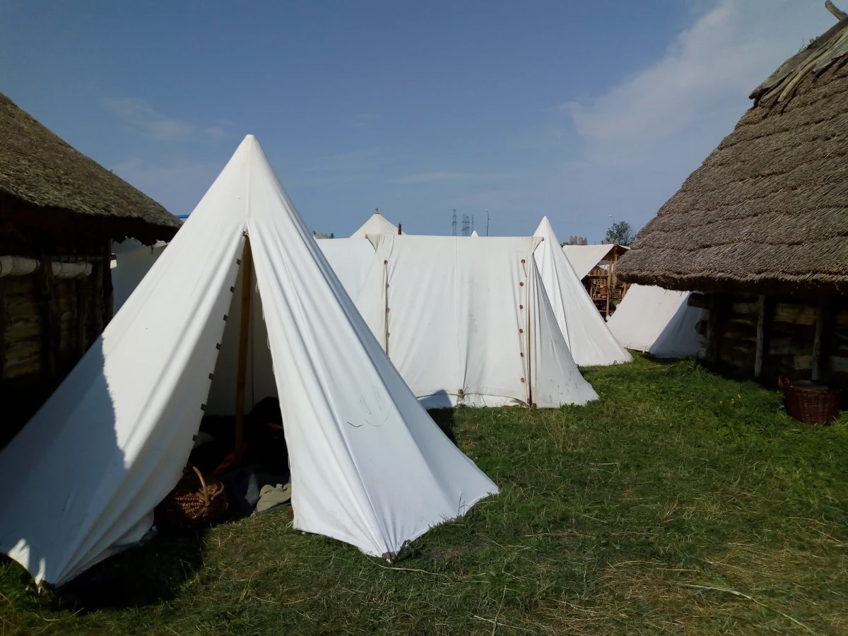 Hasło tegorocznej edycji to "Słowianie i wikingowie – wierzenia, obrzędy i zwyczaje". Uczestnicy z 30 krajów zjechali się do Wolina, by przeżyć "żywą lekcję historii" i zobaczyć, jakie zawody wykonywano, jakie potrawy spożywano, jak spędzano czas wolny oraz jak wyglądały i ile ważyły pancerze wojowników.