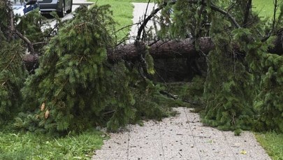 Drzewo przewróciło się na samochód w Nowej Rudzie. Nie żyje mężczyzna
