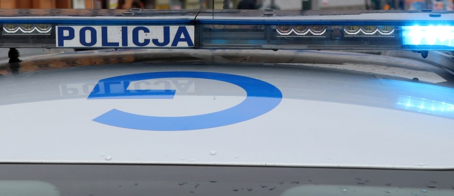 Wypadkiem zakończyła się kradzież samochodu w Gdańsku. Policjanci zatrzymali 35-letniego mieszkańca miasta, który w wyniku zderzenia został ranny.