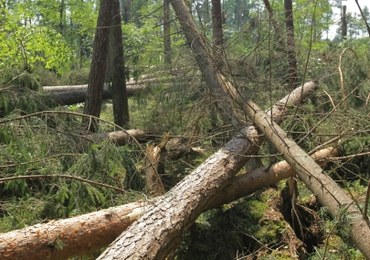 Burze przeszły nad Polską. Ponad 200 interwencji strażaków