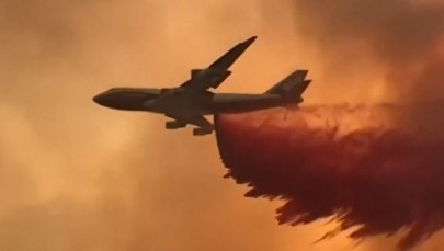 Kalifornia walczy z ogniem. Powierzchnia pożaru czterokrotnie większa niż San Francisco