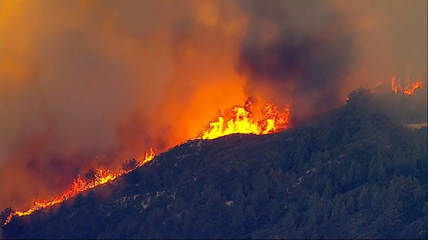 Mieszkańcy kalifornijskiego miasta Santa Ana są zmuszeni do ewakuacji z powodu pożaru. Ogień bardzo szybko się rozprzestrzenił, rozpoczął się około godziny 14:00 miejscowego czasu i pochłonął już 16 kilometrów kwadratowych w tym jeden budynek. To kolejne ognisko pożaru w Kalifornii z powodu wysokiej temperatury. Ogólnie na terenie całego stanu pożary pochłonęły już ponad 1000 kilometrów kwadratowych.