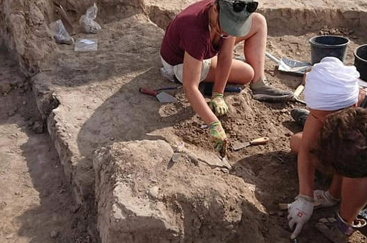 ​Ma ok. 11 m szerokości i wzniesiono go z suszonych cegieł mułowych - najstarszy odkryty do tej pory mur obronny na terenie Izraela ma ok. 5300 lat. To dowód na to, że ten obszar Bliskiego Wschodu rozwijał się równie dynamicznie, co cywilizacje Egiptu czy Mezopotamii.