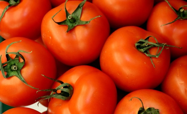 ​W krojonych pomidorach sprzedawanych pod nazwą "Freshona" i "Italiamo" mogą znajdować się plastikowe elementy grożące poranieniem podczas spożycia. Dlatego producent wycofał je z rynku - poinformował w środę Główny Inspektorat Sanitarny.