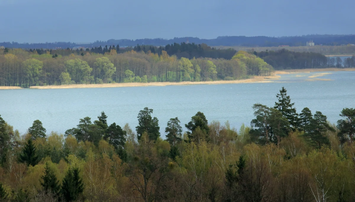 Z jeziora Mamry niedaleko Węgorzewa w warmińsko-mazurskiem wyłowiono ciało mężczyzny. Prawdopodobnie jest to zaginiony w poniedziałek 34-letni żeglarz. Jego tożsamość musi jeszcze potwierdzić rodzina.