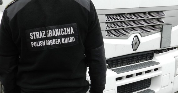 Trzech cudzoziemców bez dokumentów dostało się do Polski w naczepie ciężarówki. Mężczyźni zostali zatrzymani przez Straż Graniczną. Podają się za obywateli Iranu i Iraku.