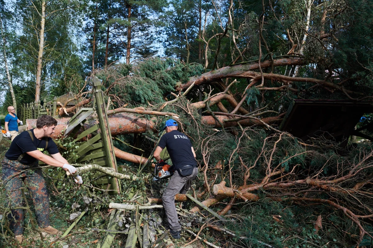 Pięć ofiar śmiertelnych, dziesiątki osób rannych i liczone w miliardach złotych straty. Zniszczone domy i budynki gospodarcze, linie energetyczne czy miliony połamanych drzew. Także w słynnych Borach Tucholskich. Nadleśnictwa Lipusz i Rytel ucierpiały najbardziej. W tym ostatnim, dokładniej w Suszku, zginęły dwie uczestniczki obozu harcerskiego - taki jest bilans kataklizmu. Mija rok od potężnej nawałnicy, która przeszła przez północną Polskę. 