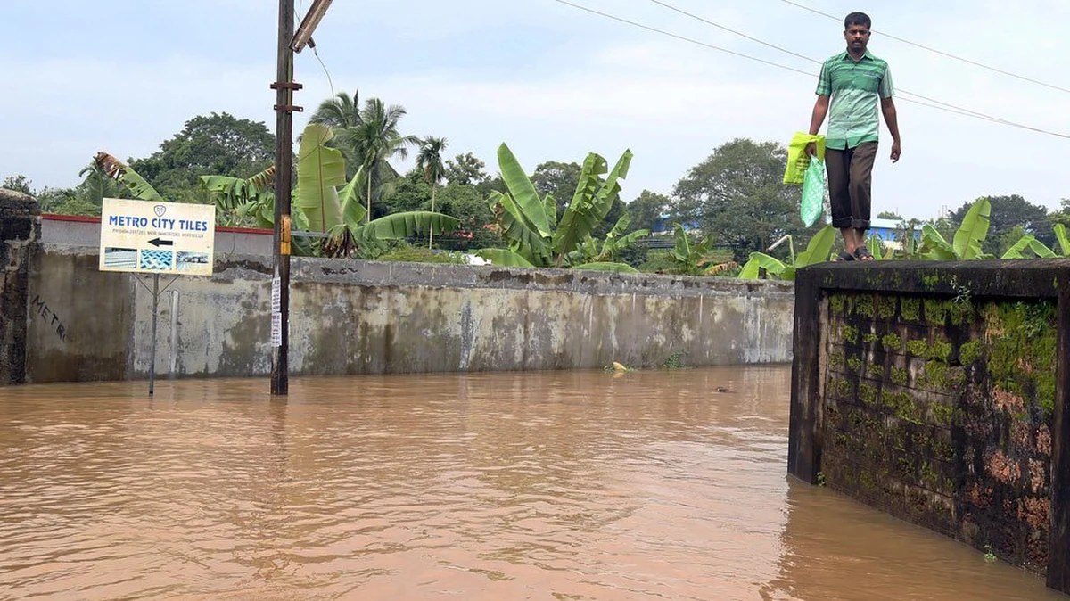 Do 67 wzrosła liczba ofiar śmiertelnych powodzi i osunięć ziemi, do których doszło w ostatnich dniach w stanie Kerala na południowym zachodzie Indii - poinformowały lokalne władze. Ponad 50 tys. ludzi musiało opuścić swoje domy.
