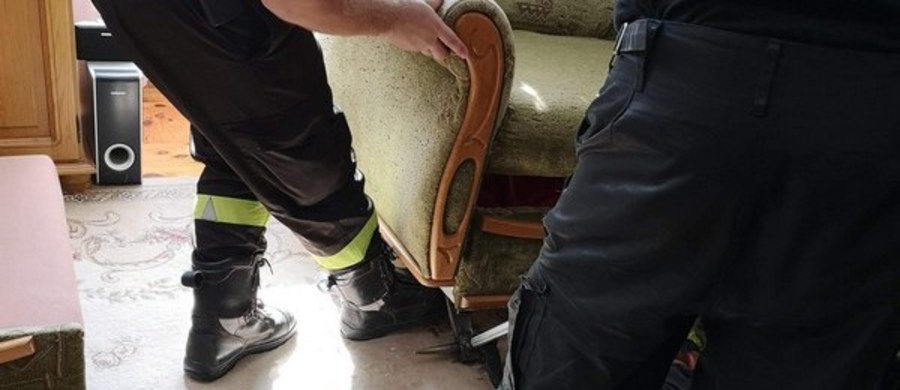Policjanci z Aleksandrowa Kujawskiego brali udział w bardzo nietypowej interwencji – wspólnie ze strażakami złapali węża, który był w jednym z mieszkań w Ciechocinku. Jak się okazało był to niegroźny zaskroniec. Funkcjonariusze wypuścili go do lasu.